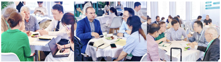 屏幕截图 2025-06-30 135241.png 屏幕截图 2025-06-30 135241.png